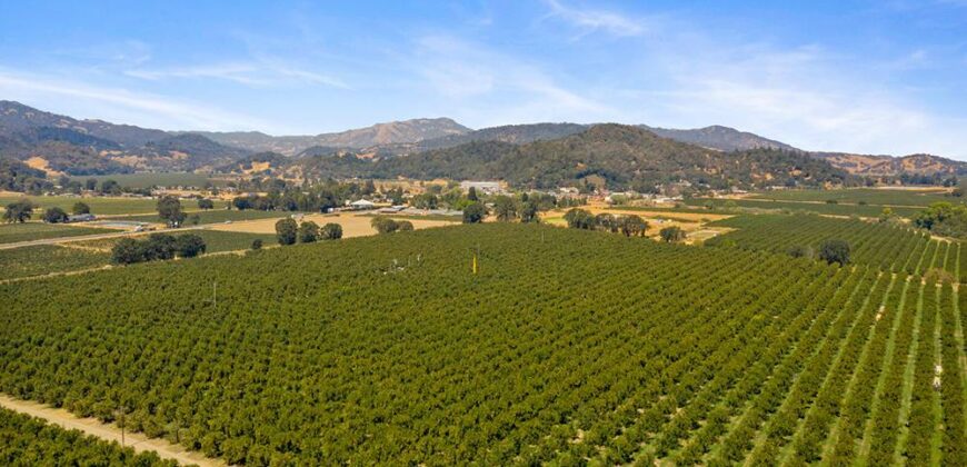 Pear Orchard & Vineyard For Sale – Mendocino County