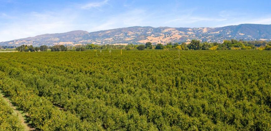 Pear Orchard & Vineyard For Sale – Mendocino County