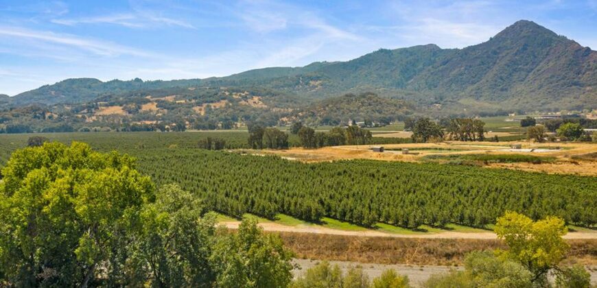 Pear Orchard & Vineyard For Sale – Mendocino County