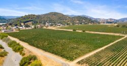 Pear Orchard & Vineyard For Sale – Mendocino County