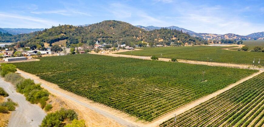 Pear Orchard & Vineyard For Sale – Mendocino County