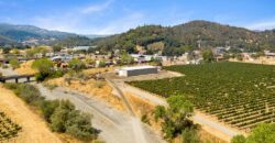 Pear Orchard & Vineyard For Sale – Mendocino County