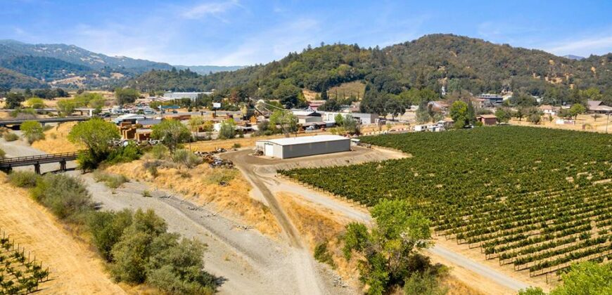 Pear Orchard & Vineyard For Sale – Mendocino County