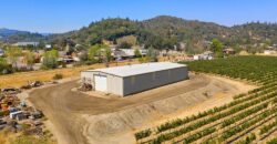 Pear Orchard & Vineyard For Sale – Mendocino County