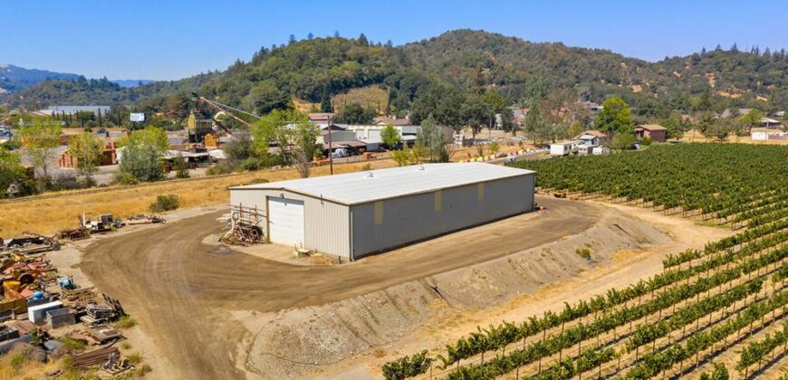 Pear Orchard & Vineyard For Sale – Mendocino County