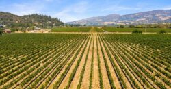 Pear Orchard & Vineyard For Sale – Mendocino County