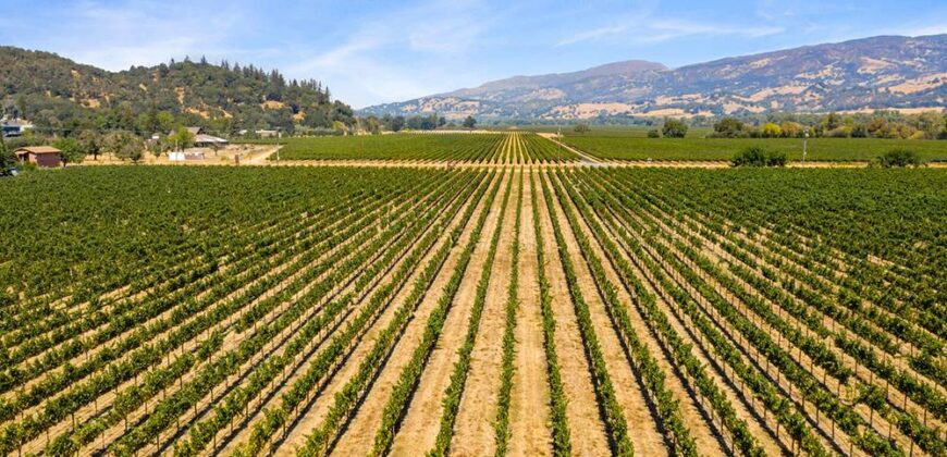 Pear Orchard & Vineyard For Sale – Mendocino County