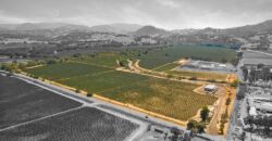 Pear Orchard & Vineyard For Sale – Mendocino County