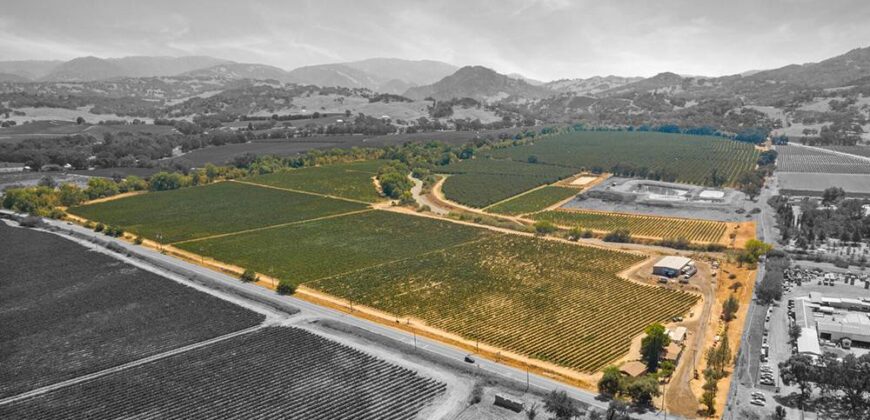 Pear Orchard & Vineyard For Sale – Mendocino County