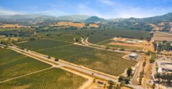 Pear Orchard & Vineyard For Sale – Mendocino County