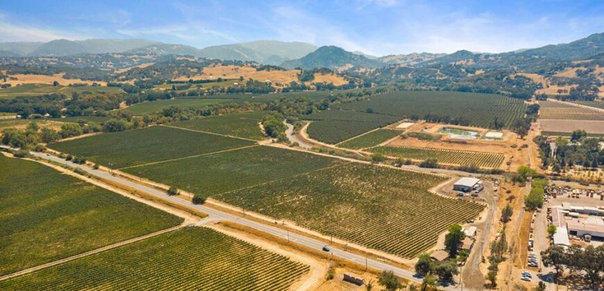 Pear Orchard & Vineyard For Sale – Mendocino County