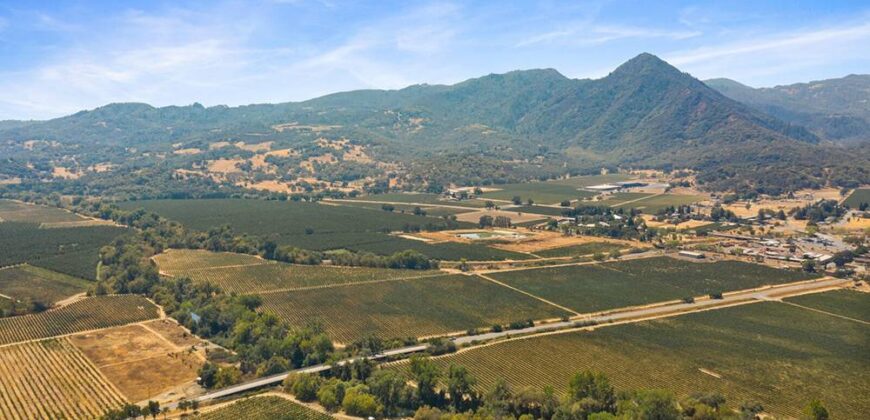 Pear Orchard & Vineyard For Sale – Mendocino County