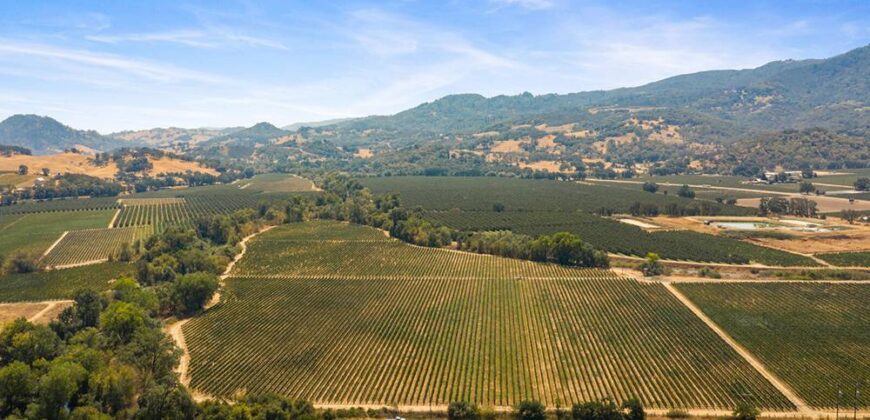 Pear Orchard & Vineyard For Sale – Mendocino County