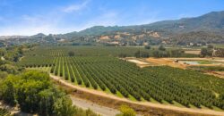 Pear Orchard & Vineyard For Sale – Mendocino County