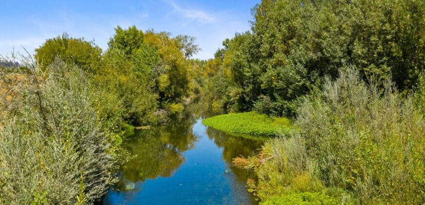 Pear Orchard & Vineyard For Sale – Mendocino County