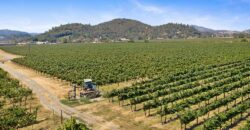 Pear Orchard & Vineyard For Sale – Mendocino County