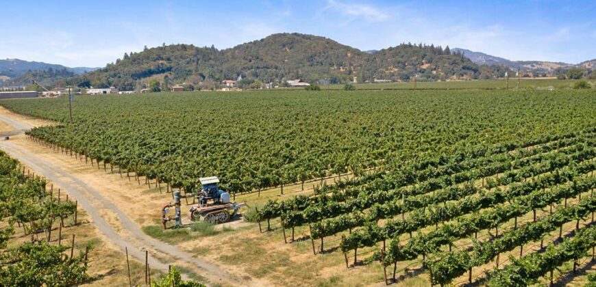 Pear Orchard & Vineyard For Sale – Mendocino County