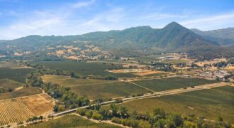 Pear Orchard & Vineyard For Sale – Mendocino County