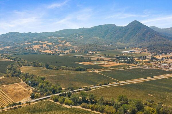 Pear Orchard & Vineyard For Sale – Mendocino County