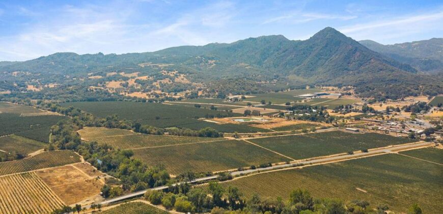 Pear Orchard & Vineyard For Sale – Mendocino County