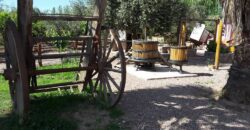 Argentina Vineyard, Orchard & Olive Grove For Sale w/ Cabanas & Home – Finca Bella Luna