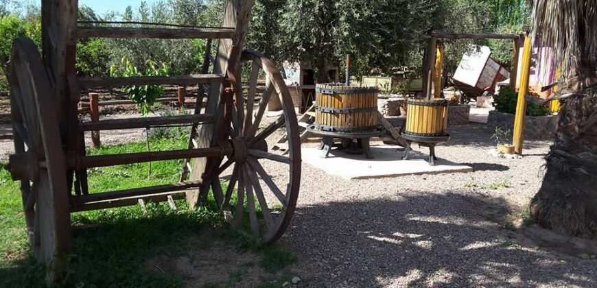 Argentina Vineyard, Orchard & Olive Grove For Sale w/ Cabanas & Home – Finca Bella Luna