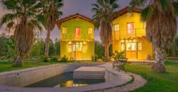 Argentina Vineyard, Orchard & Olive Grove For Sale w/ Cabanas & Home – Finca Bella Luna
