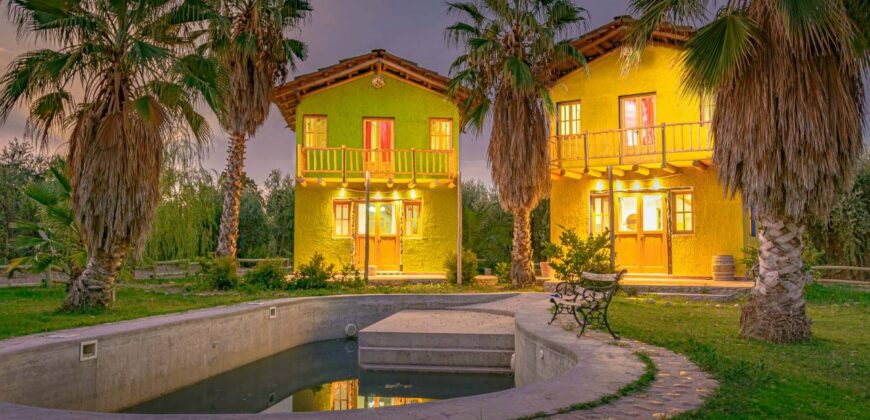 Argentina Vineyard, Orchard & Olive Grove For Sale w/ Cabanas & Home – Finca Bella Luna