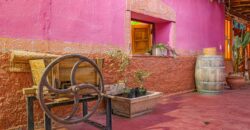 Argentina Vineyard, Orchard & Olive Grove For Sale w/ Cabanas & Home – Finca Bella Luna