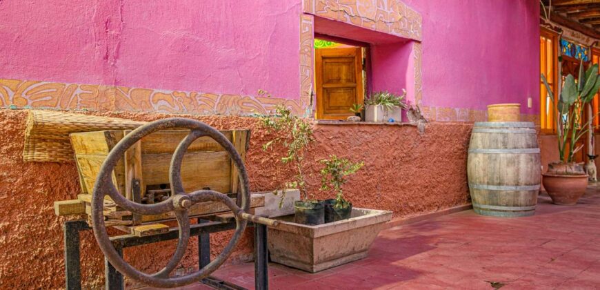 Argentina Vineyard, Orchard & Olive Grove For Sale w/ Cabanas & Home – Finca Bella Luna