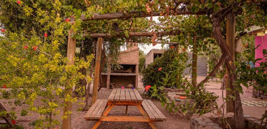 Argentina Vineyard, Orchard & Olive Grove For Sale w/ Cabanas & Home – Finca Bella Luna