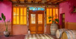 Argentina Vineyard, Orchard & Olive Grove For Sale w/ Cabanas & Home – Finca Bella Luna