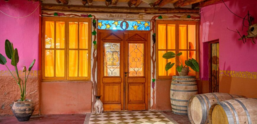 Argentina Vineyard, Orchard & Olive Grove For Sale w/ Cabanas & Home – Finca Bella Luna