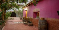 Argentina Vineyard, Orchard & Olive Grove For Sale w/ Cabanas & Home – Finca Bella Luna