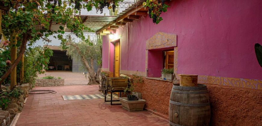 Argentina Vineyard, Orchard & Olive Grove For Sale w/ Cabanas & Home – Finca Bella Luna