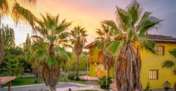 Argentina Vineyard, Orchard & Olive Grove For Sale w/ Cabanas & Home – Finca Bella Luna