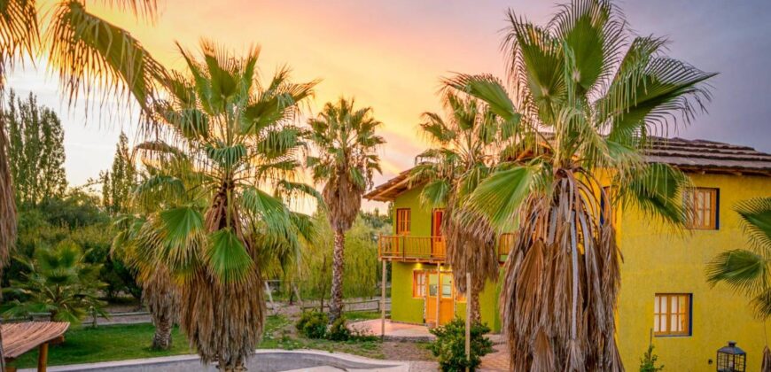Argentina Vineyard, Orchard & Olive Grove For Sale w/ Cabanas & Home – Finca Bella Luna