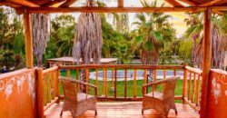 Argentina Vineyard, Orchard & Olive Grove For Sale w/ Cabanas & Home – Finca Bella Luna
