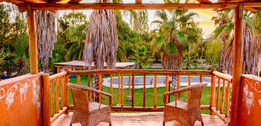 Argentina Vineyard, Orchard & Olive Grove For Sale w/ Cabanas & Home – Finca Bella Luna