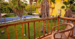 Argentina Vineyard, Orchard & Olive Grove For Sale w/ Cabanas & Home – Finca Bella Luna