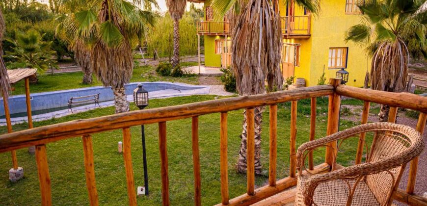 Argentina Vineyard, Orchard & Olive Grove For Sale w/ Cabanas & Home – Finca Bella Luna