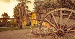 Argentina Vineyard, Orchard & Olive Grove For Sale w/ Cabanas & Home – Finca Bella Luna