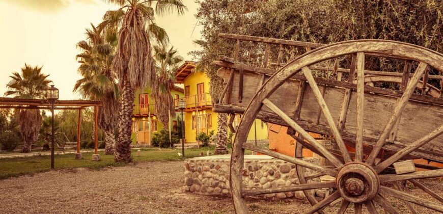 Argentina Vineyard, Orchard & Olive Grove For Sale w/ Cabanas & Home – Finca Bella Luna