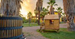 Argentina Vineyard, Orchard & Olive Grove For Sale w/ Cabanas & Home – Finca Bella Luna