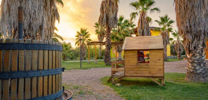 Argentina Vineyard, Orchard & Olive Grove For Sale w/ Cabanas & Home – Finca Bella Luna