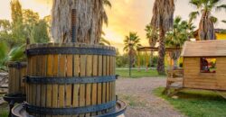 Argentina Vineyard, Orchard & Olive Grove For Sale w/ Cabanas & Home – Finca Bella Luna