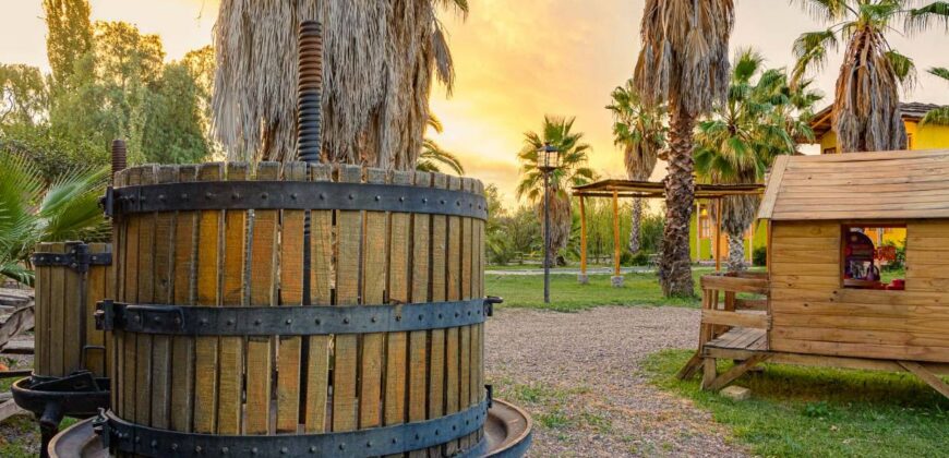 Argentina Vineyard, Orchard & Olive Grove For Sale w/ Cabanas & Home – Finca Bella Luna