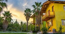 Argentina Vineyard, Orchard & Olive Grove For Sale w/ Cabanas & Home – Finca Bella Luna