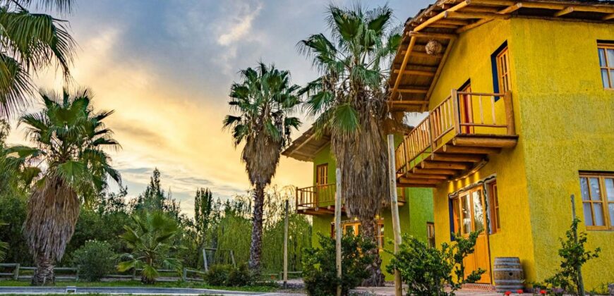 Argentina Vineyard, Orchard & Olive Grove For Sale w/ Cabanas & Home – Finca Bella Luna