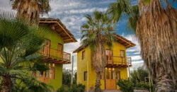 Argentina Vineyard, Orchard & Olive Grove For Sale w/ Cabanas & Home – Finca Bella Luna